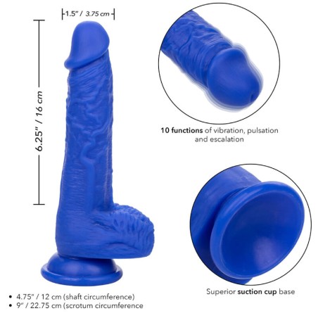 Calexotics admiral sailor dildo realístico vibrador