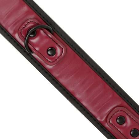 Fetish Submissive Dark Room collar con cadena con forro de neopreno