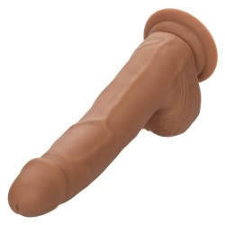 Calexotics Silicone Studs 20.32 cm Brown: dildo realista seguro