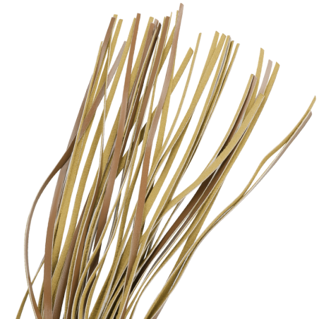 Fetish Submissive Origin fetish submissive origen látigo cuero vegano