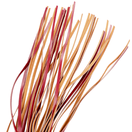 Fetish Submissive Dark Room látigo cuero vegano