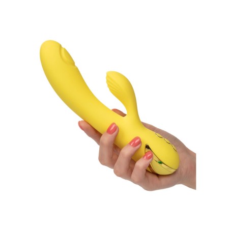 Calexotics san diego seduction