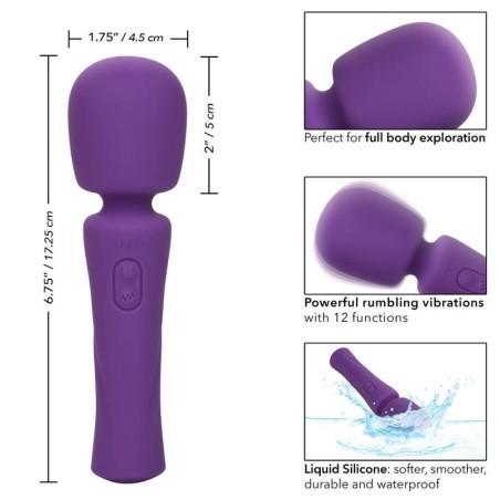 Calexotics stella massager violeta